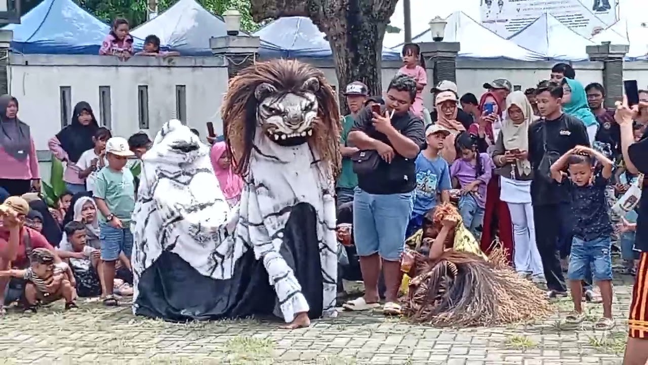 Barongan New turonggo budoyo live balai desa karangsari acara kkn Undip semarang tgl 15 febuari 2026