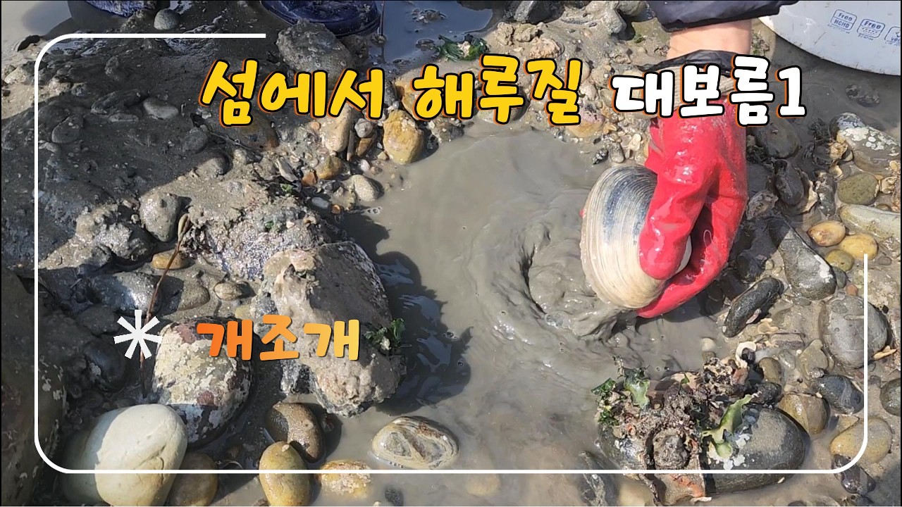 섬에서 해루질_대보름1