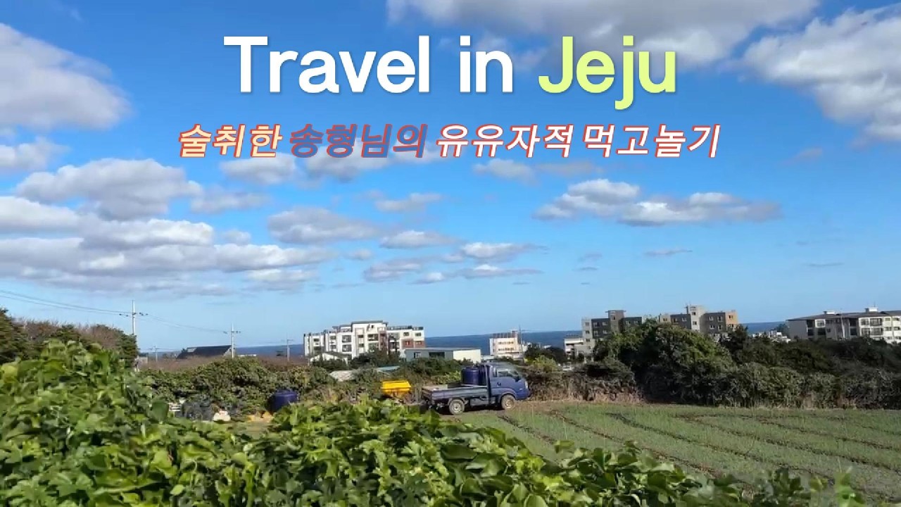 유유자적 송형님의 제주 여행3/음식점, 숙소 정보는 더보기란에 #제주도 #유유자적 #먹고놀기 #술취한송형님