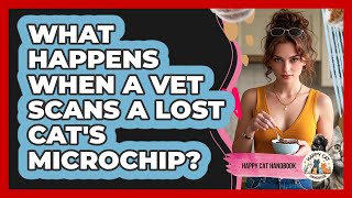 What Happens When A Vet Scans A Lost Cat's Microchip? - Happy Cat Handbook