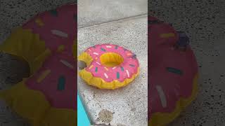 Inflable Portavaso Dona Piscina Vaso - PRO Home