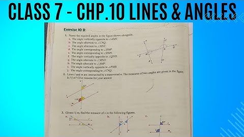 Exercise 10 B Full. Class 7. Chp 10 Lines and Angles. Oxford Mathematics