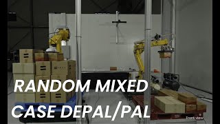 Random Mixed Depalletizing & Mixed Case Palletizing