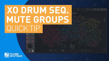 XO by XLN Audio | Mute Groups (Choke Groups) | Quick Tip Tutorial