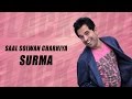 Download New Punjabi Songs 2016 Surma Official Video Hd Romy Ranjan Saal Solwan Charhiya Video Download, videos Download Avi Flv 3gp mp4,New Punjabi Songs 2016 Surma Full HD Video Song