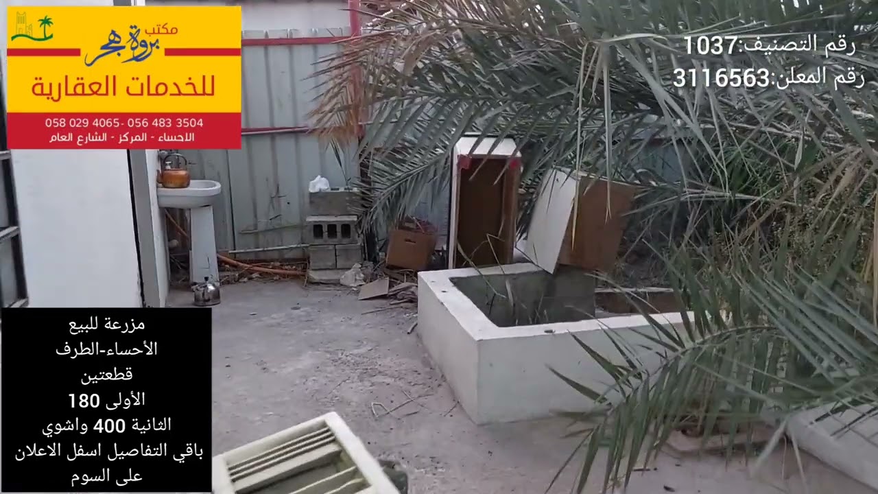 مزرعة للبيع قطعتين-الاحساء-الطرف قرب حديقة الحيوان