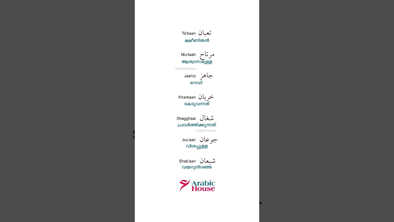 Daily Spoken Arabic Words 🌿 Subscribe & Learn More #gulf #english #gulfarabic #learnarabiconline
