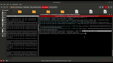 Build Your First Network   Hyperledger 06