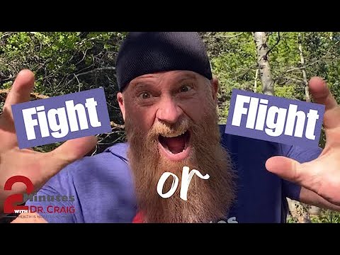 How Does the Fight or Flight Stress Response Relate to Your Health ...