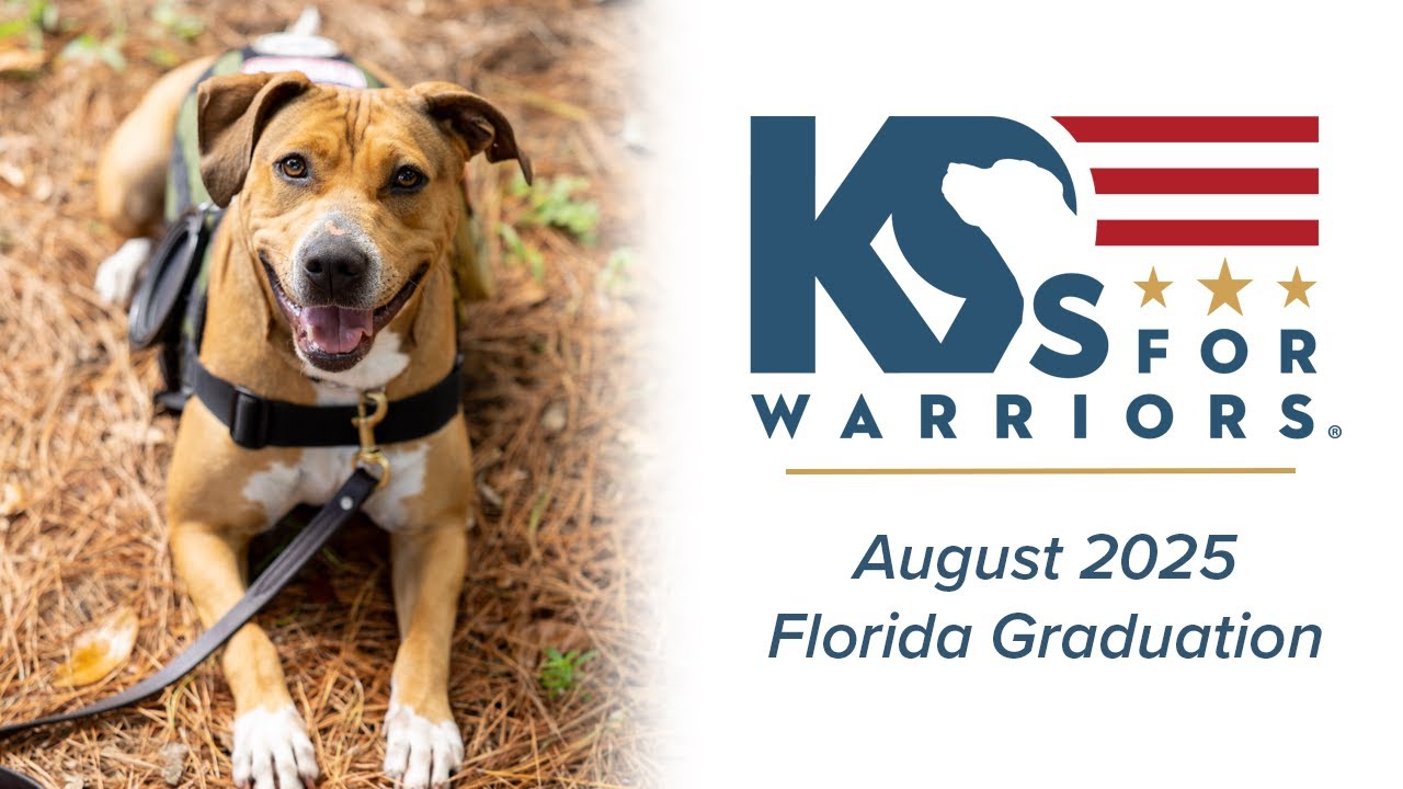 Class of August 2025 (Ponte Vedra, FL) - K9s For Warriors - YouTube