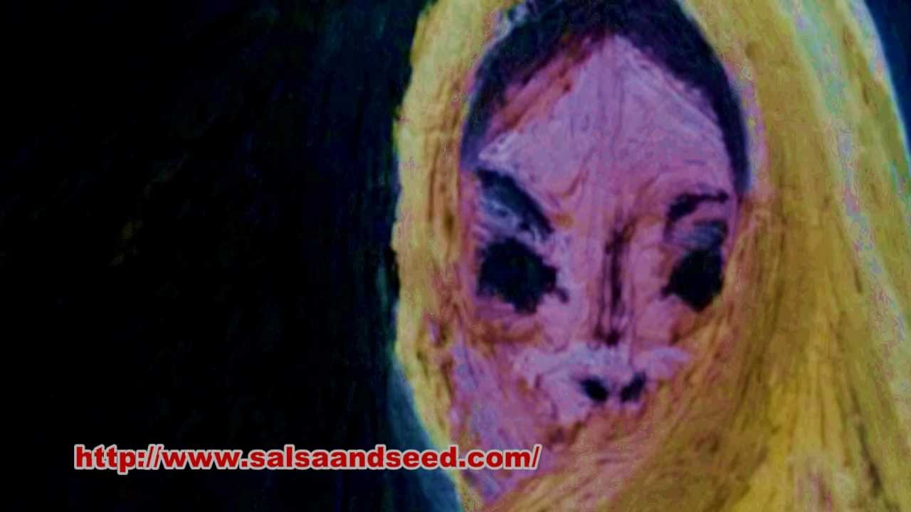 El Chicano "Tell Her She's Lovely" Video El Chicano "Tell Her She's Lovely" Video