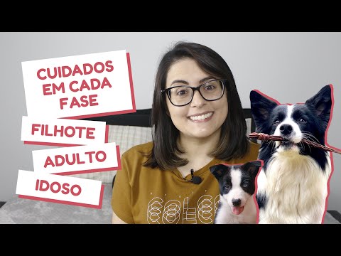 Cuidados necessários em