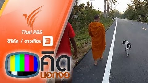 คิดนอกจอ : "เจ้าลาย" สุนัขแสนรู้ติดตามพระบิณฑบาตทุกเช้า (11 มี.ค. 59)