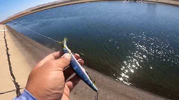 Do you need a fishing license to fish the aqueduct in California?
