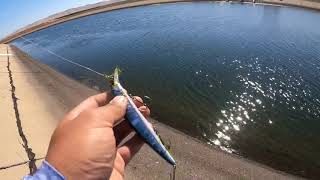 How to fish the ca aqueduct. Tips on where and how to fish