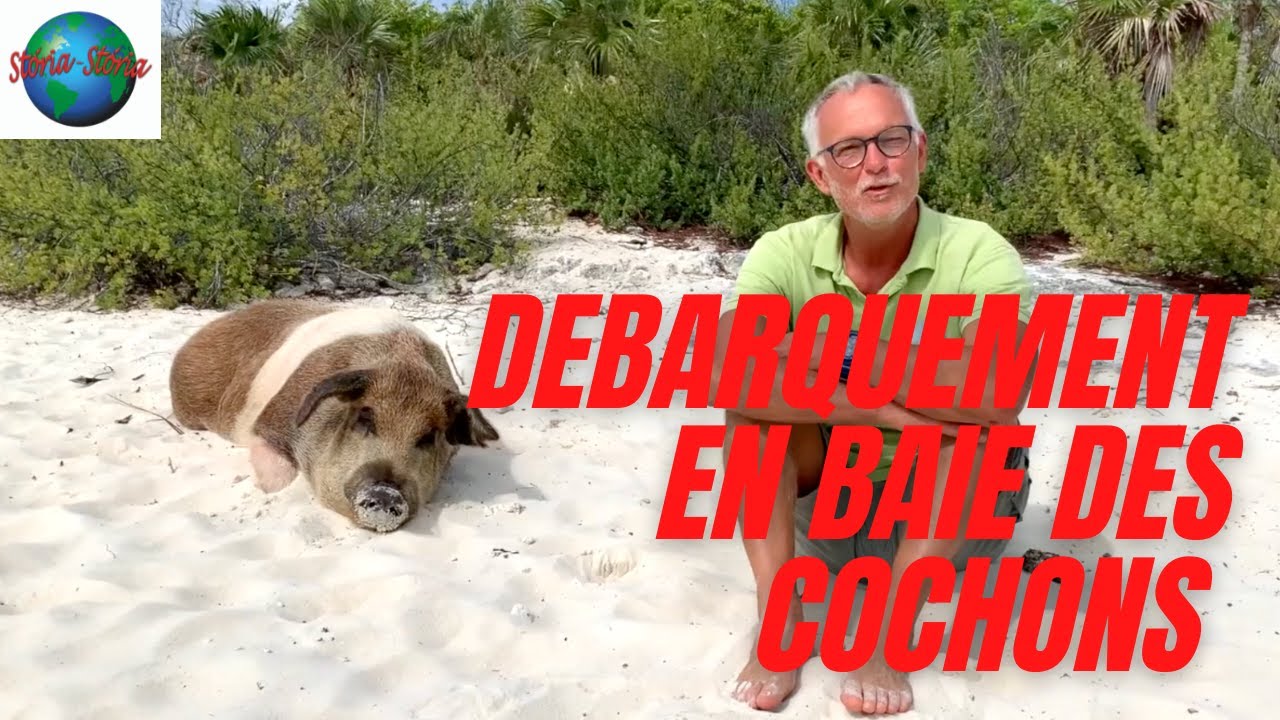 un débarquement réussi dans la baie des cochons ! Ep 56. SV Storia Storia YouTube