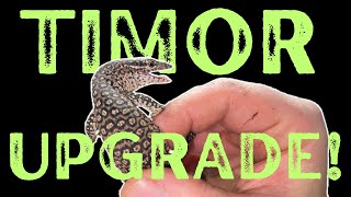 TIMOR MONITOR SET UP AND UPGRADE