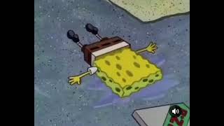 Bob crying to nutshell 😢