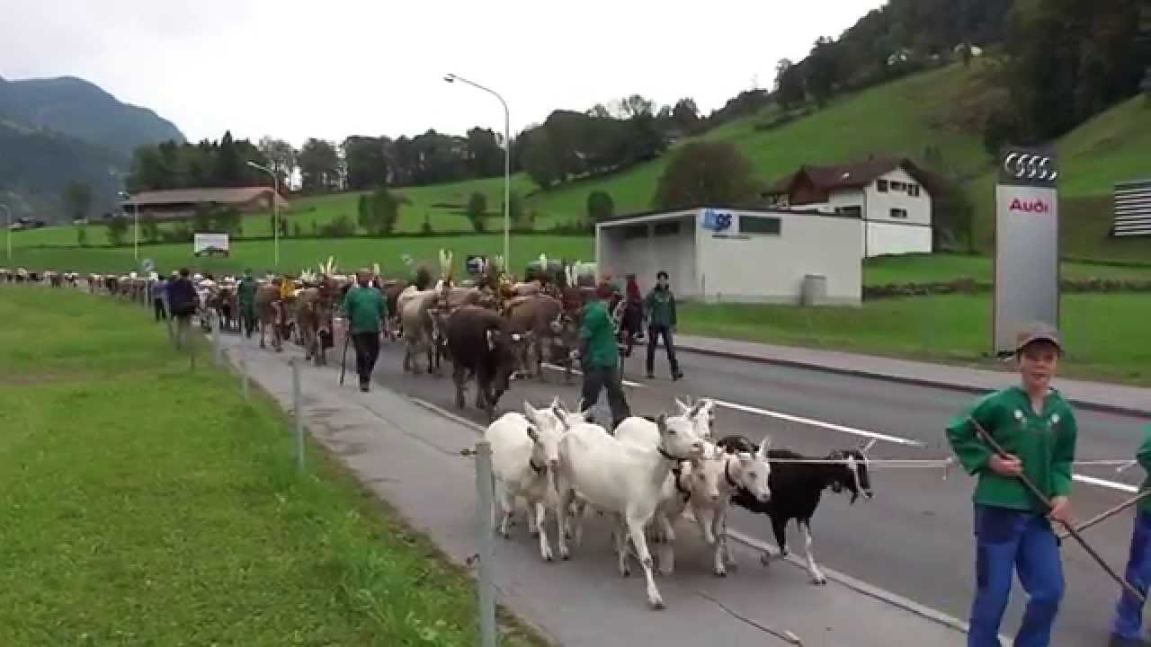 Alp Ennetseewen 2014