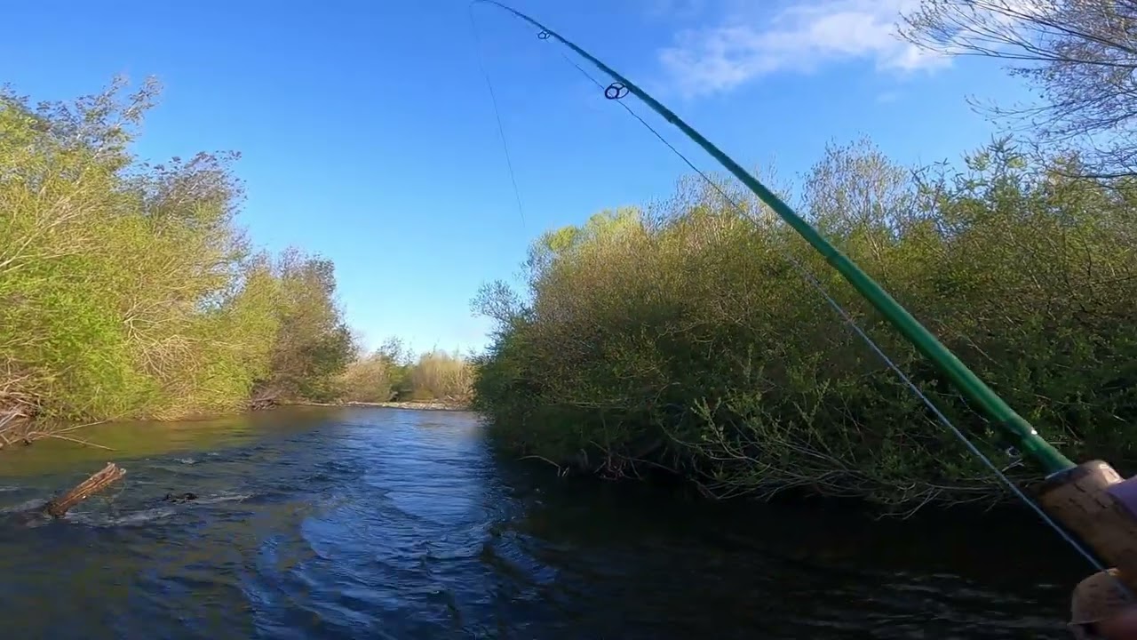 Explorando el Mitico Río Cautín Dia 2