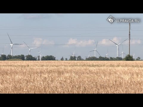 Ждем хороший урожай.