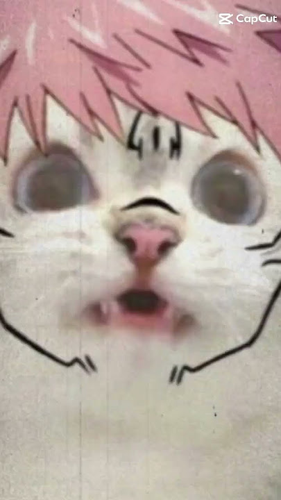 Sorry bgt guys Delay, Btw kasih Inspirasi buat konten dong o_o
