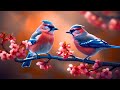Beautiful Instrumental Hymns, Peaceful instrumental Music, Piano and Flute