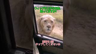 帽子余ってたら一つもらえますか?