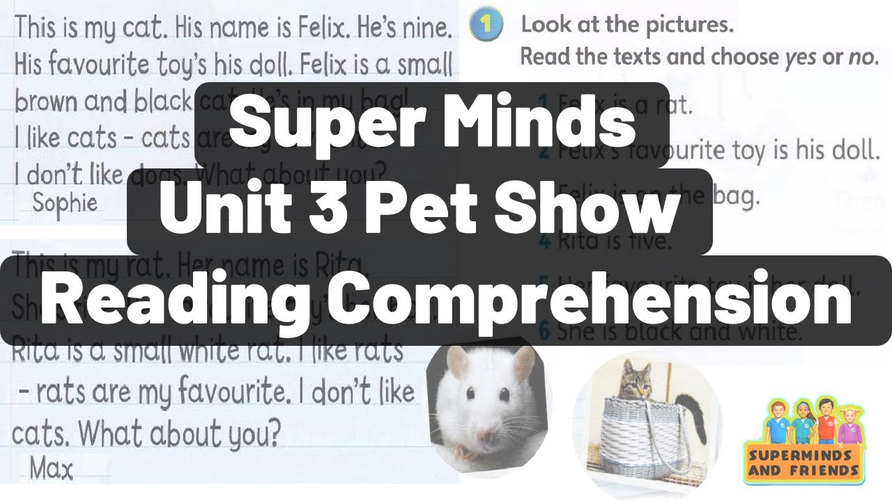 Super Minds Unit 3 The Pet Show page 40 Reading Comprehension Listening Worksheet Exercise