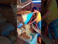 Solar Powered Rice Huller And Polisher Shorts Short Shortvideo Trendingshorts Viralshorts Nur