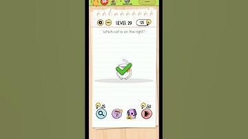 Brain Test Level 29 Solution | Which Cat on Right? 🐱 | Walkthrough & Gameplay