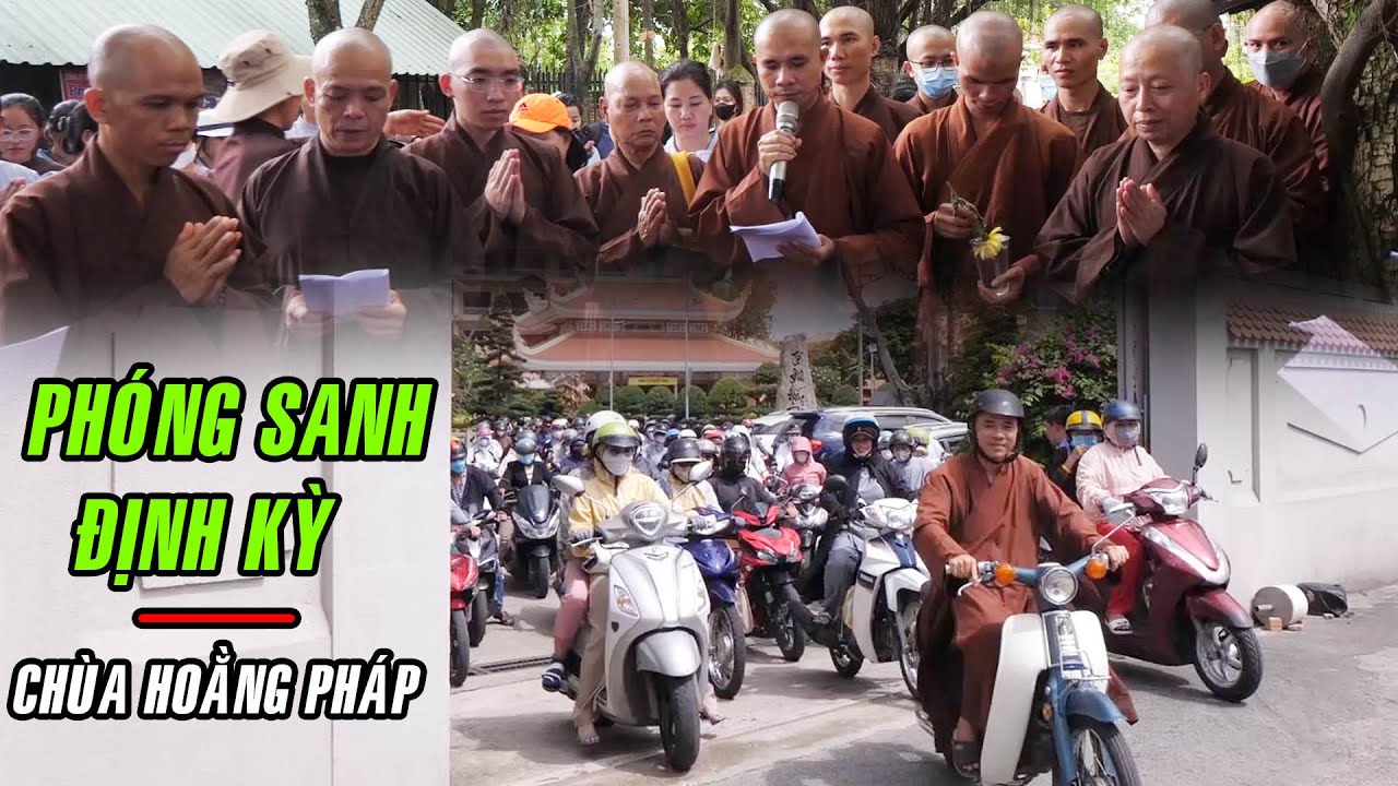 Chùa Hoằng Pháp tổ chức Phóng Sanh Định Kỳ Gieo Duyên Lành đến với Quý Phật Tử