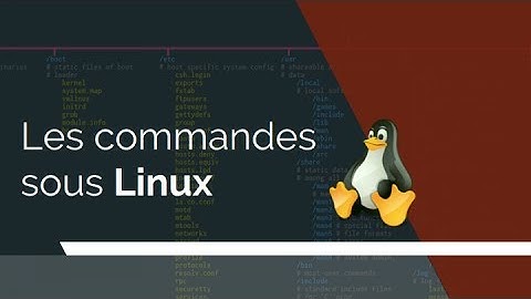 Formation Linux : Apprendre à utiliser le Terminal - Commandes de  base pour débutant