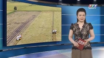 Nông nghiệp ứng dụng công nghệ cao- Hướng đi bền vững