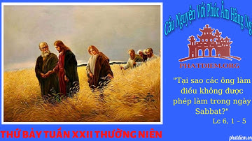 Thứ Bảy Tuần XXII Thường Niên: Tại sao các ông làm điều không được phép làm trong ngày Sabbat?