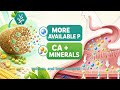 How Phytase Enzyme Unlocks Phosphorus in Animal Feed | enzymes.bio