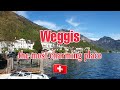 🏕 Weggis, the most charming place 05.2021 - Switzerland 🇨🇭