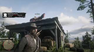 Red Dead Redemption 2 Online (RDR2) - High jump with horses