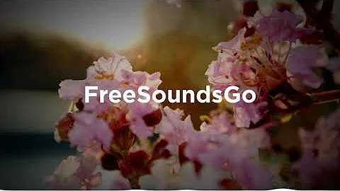 Miss you - Sara Jansen  Free Copyright-safe