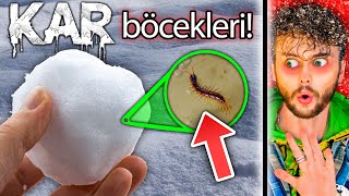 DO NOT EAT SNOW BUGS! (TikTok Life Hacks) by Berk Coşkun 5,217,854 views 2 years ago 14 minutes, 33 seconds