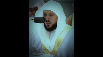 تلاوة خاشعة للشيخ ماهر المعيقلي-حفظه الله و رعاه-🤍🌸 #ماهرالمعيقلي