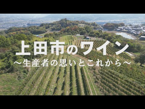 株式会社七五リサーチ