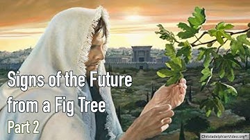 Signs of the future from a fig tree   Part 2
