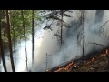 Пажар в лесном массиве с.Хвайни