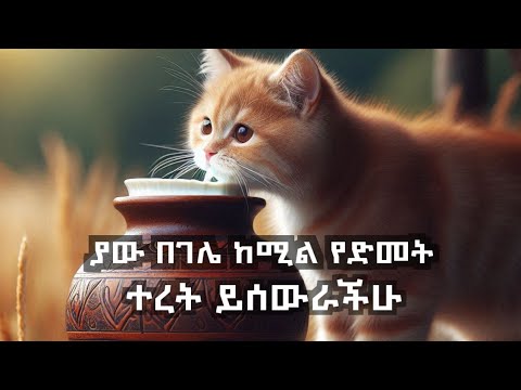 ያው በገሌ ከሚል የድመት ተረት ይሰውራችሁ ጦቢያ ወግ Mekoya Habesha