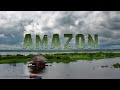 Amazon rainforest trip. Iquitos, Peru. 4k.