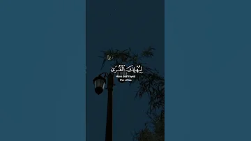 سورة هود قارئ اسلام صبحي Shorts 