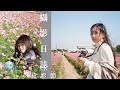 【底片/數位攝影】花園VS公園|楊梅花彩節|中山親水公園《等我們有時間》