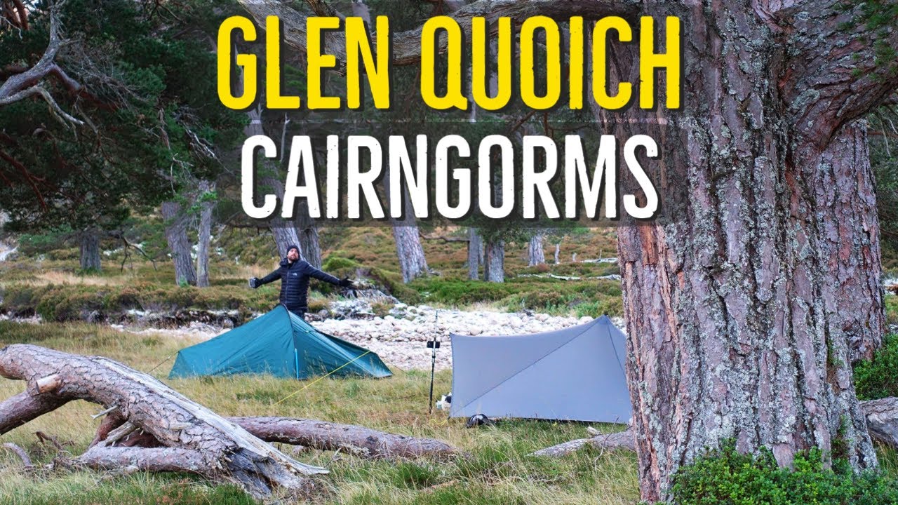 Wild Camping In An Ancient Pine Forest Glen Quoich Cairngorms Youtube