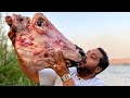 جبت اكبر رأس بقرة وزنها 20 كيلو وعملتها مدفون في الارض وكلتها لوحدي
